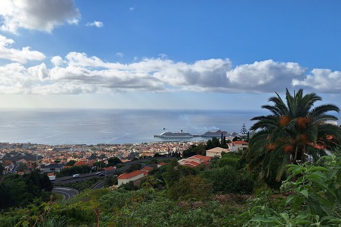 2-Hour Funchal City & Madeira Wine Experience - Guide style, group size, and how to get more from it