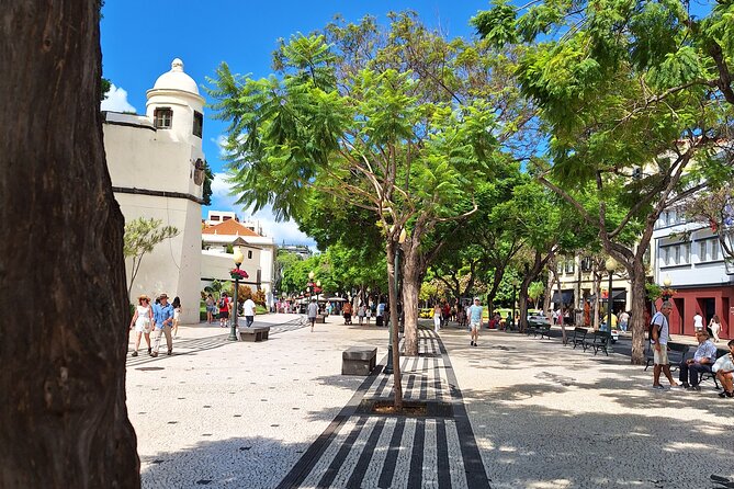 2-Hour Funchal City & Madeira Wine Experience - Price and value: where the $46.96 goes