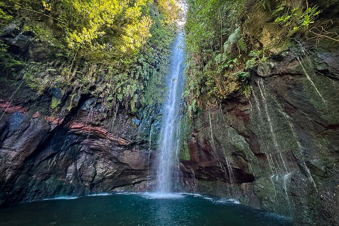 25 Fountains Levada: Hiking Tour in Madeira Rabaçal Valley (PR6) - Entering the Laurisilva Forest: Where Madeira’s Endemic Life Comes Into Focus