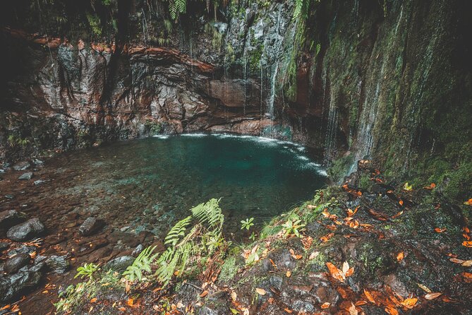 25 Fountains Levada: Hiking Tour in Madeira Rabaçal Valley (PR6) - The Steps, Slips, and the 800m Tunnel: The Part You Prepare For