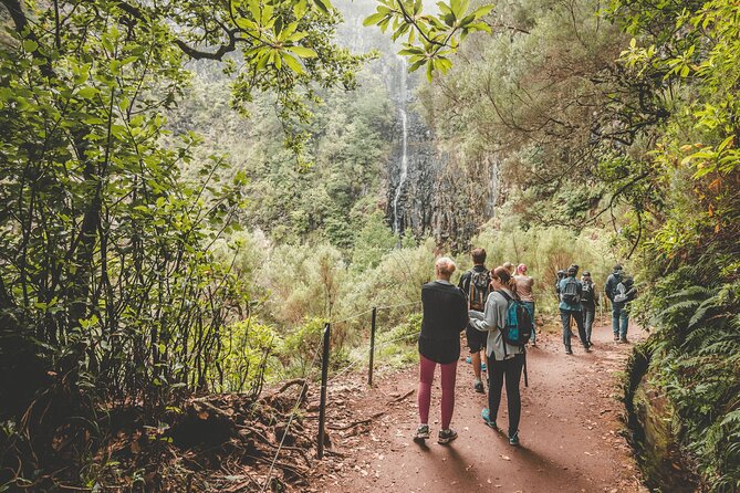25 Fountains Levada: Hiking Tour in Madeira Rabaçal Valley (PR6) - Crowds at 25 Fountains: How to Still Enjoy It