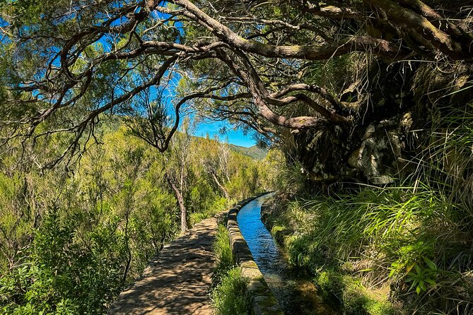 25 Fountains Levada: Hiking Tour in Madeira Rabaçal Valley (PR6) - Food, Water, and the Optional Café Stop: Don’t Leave Energy to Chance