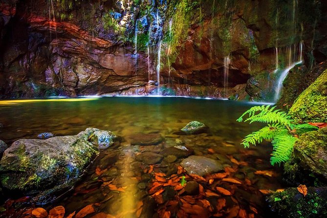 "25 Fountains" Walk / Lost In The Beautiful Forest - The 8:45am Start: pickup, meeting point, and getting into the right mindset