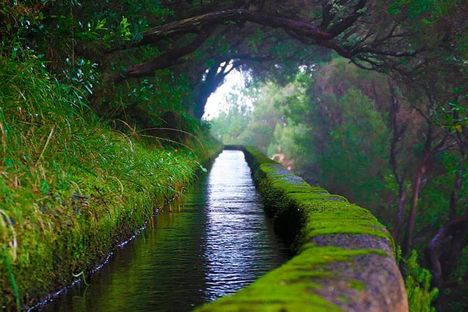 "25 Fountains" Walk / Lost In The Beautiful Forest - Rabaçal to Risco waterfall: a classic Madeira descent with real payoff