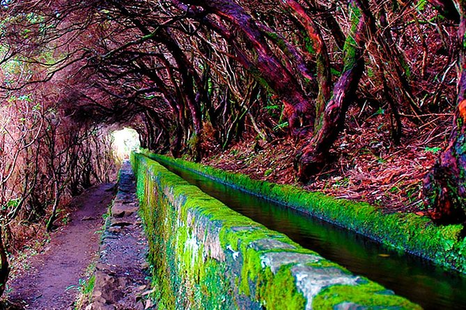 "25 Fountains" Walk / Lost In The Beautiful Forest - Crowds, single-file pinch points, and how to stay comfortable
