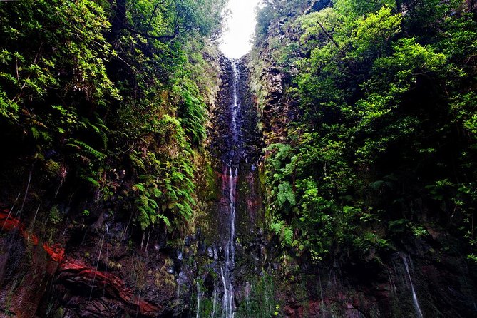 "25 Fountains" Walk / Lost In The Beautiful Forest - Who should book this hike, and who should skip it