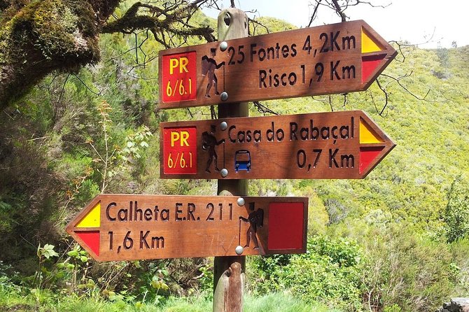 "25 Fountains" Walk / Lost In The Beautiful Forest - Should you book the 25 Fontes walk? My honest take