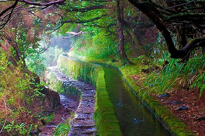 "25 Fountains" Walk / Lost In The Beautiful Forest - The levada of 25 sources: cliffside springs and that small pool moment