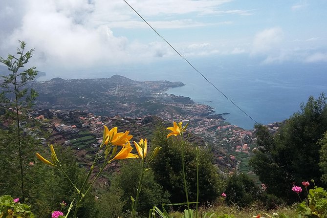 4x4 Safari Half day Poncha, Mountains, Vineyards and Cabo Girão Small group - Stop 4: Cabo Girão, Madeira’s cliff view in a half-day package