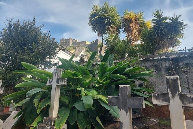 A Self-Guided Walk Through Funchal’s Historic Heart With a Local - Price, time, and who this walk suits best