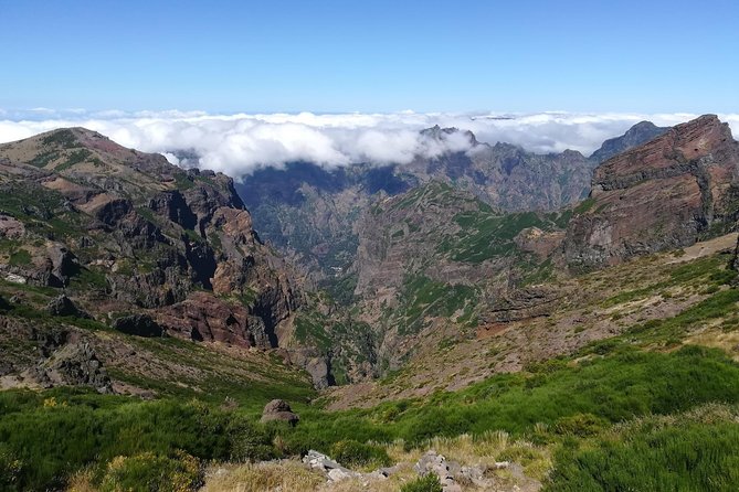 Achadas Teixeira- Pico Ruivo -& Pico pedras/Queimadas forest walk - The Hike Itself: What the Queimadas to Pico Ruivo Route Feels Like