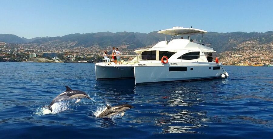 All Inclusive Whale and Dolphin Watching Luxury Tour - The “Secret Stop” Where the Boat Becomes a Lounge