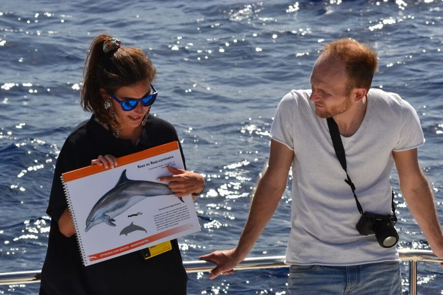 All Inclusive Whale and Dolphin Watching Luxury Tour - Weather, Motion, and What to Do If the Sea Gets Rough