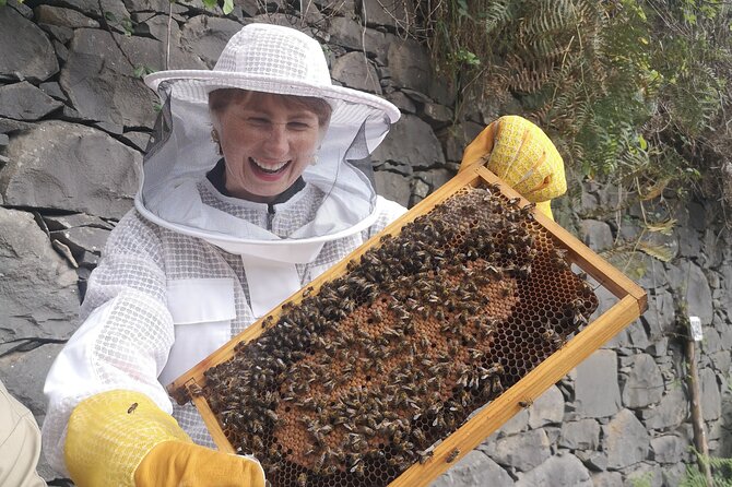 Amazing experience with Bees, honey and Pollen in Madeira Island - What You Do at the Hives (And Why It Feels Different From a Zoo)