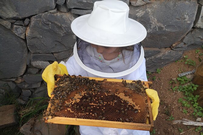 Amazing experience with Bees, honey and Pollen in Madeira Island - Private, Personal, and a Little Like Visiting Old Friends