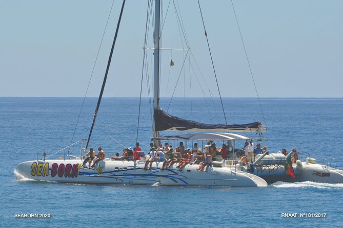 Amazing Skywalk, Wine Tasting & 4x4 Adventure + Dolphin Watching - Key Things You’ll Notice