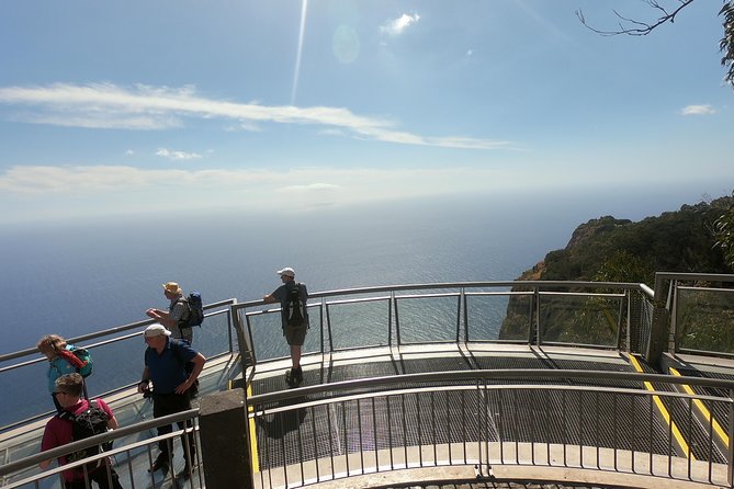 Amazing Skywalk, Wine Tasting & 4x4 Adventure + Dolphin Watching - The 4x4 Adventure Portion: Steep Roads, Photo Stops, and Small-Group Energy