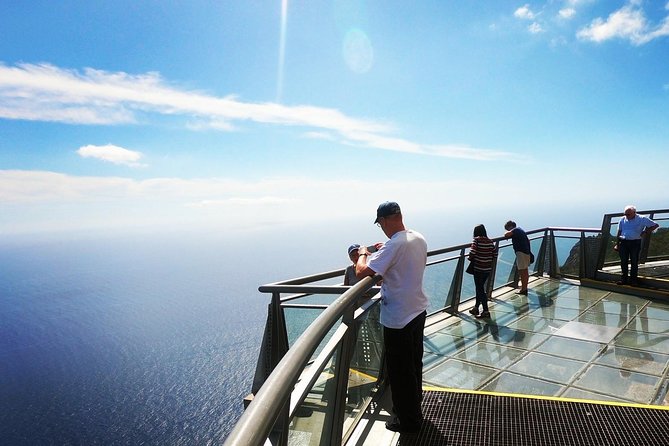 Amazing Skywalk, Wine Tasting & 4x4 Adventure + Dolphin Watching - Câmara de Lobos and Wolf Seals: A Wildlife Moment on Land