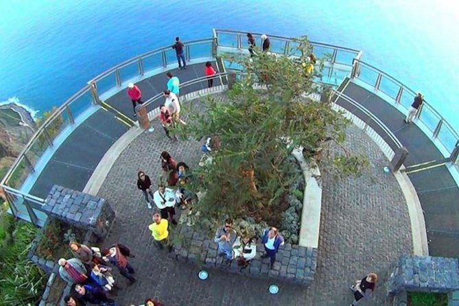 Amazing Skywalk, Wine Tasting & 4x4 Adventure + Dolphin Watching - Lunch Timing: What to Do Between the Jeep and the Boat