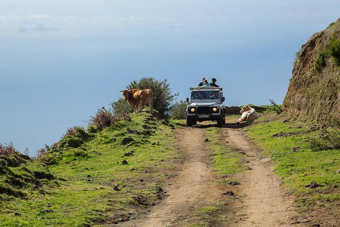 Amazing West - Jeep Safari Tour - Full Day - Shared Tour - Key points worth knowing before you ride