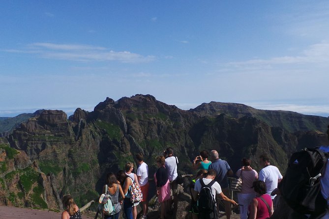 Arieiro Peak and Cristo Rei 4x4 Experience + Dolphins Watching - Price and Value: Why $105.63 Can Make Sense