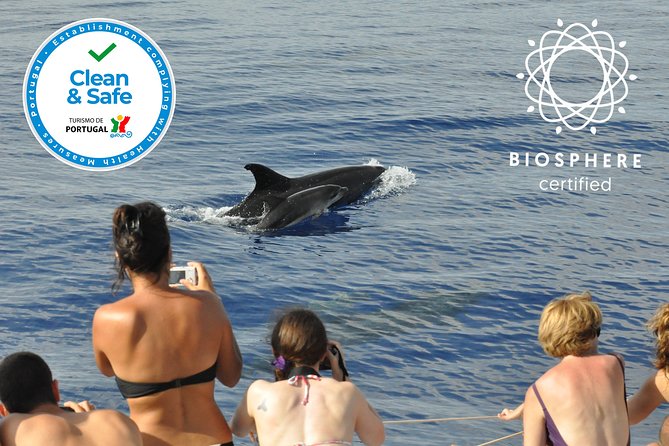 Arieiro Peak and Cristo Rei 4x4 Experience + Dolphins Watching - Who This Tour Suits Best (and Who Might Think Twice)
