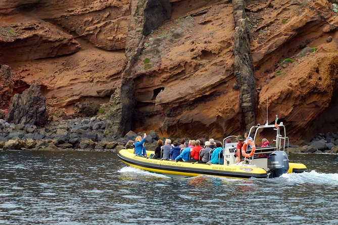 Basic Tour 2 - Quinta do Lorde to Cais do Sardinha and return - Price and value: what you get for $22.35