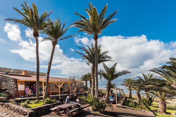 Basic Tour 2 - Quinta do Lorde to Cais do Sardinha and return - Should you book Basic Tour 2 from Quinta do Lorde to Cais do Sardinha?