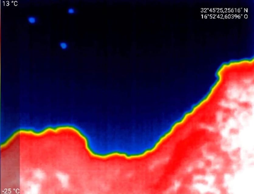 Bat Watching Madeira - Best moments, best for families, and how to manage expectations