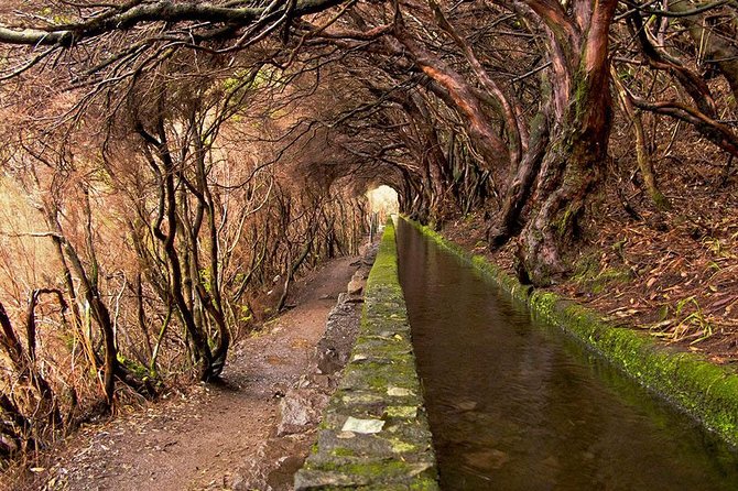 Beautiful walks in Rabaçal, Madeira - Key Things to Know Before You Go