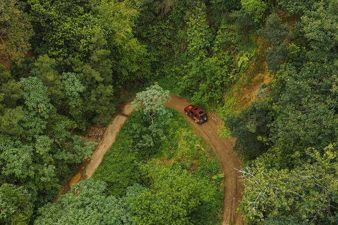 Bespoke adventure in Madeira with pick-up - The Madeira menu your guide can tailor: cliffs, waterfalls, pools, misty roads