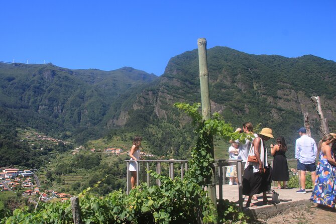 Bestselling Wine Tour, Tasting Experience & Skywalk 4x4 Adventure - Key highlights to know before you go