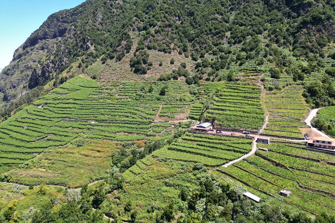 Bestselling Wine Tour, Tasting Experience & Skywalk 4x4 Adventure - Open-top jeep reality check: comfort, vehicle condition, and off-road fun