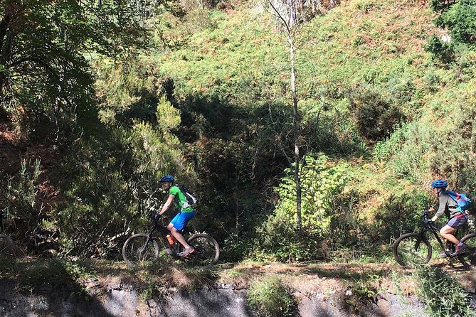 Botanical Trails of Madeira. Mountain biking Trail Experience - Why this Madeira ride feels so much more than a bike tour