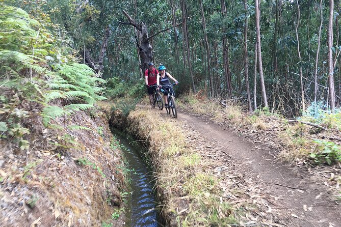 Botanical Trails of Madeira. Mountain biking Trail Experience - Camacha stop: bar break, colorful village riding, and the big downhill