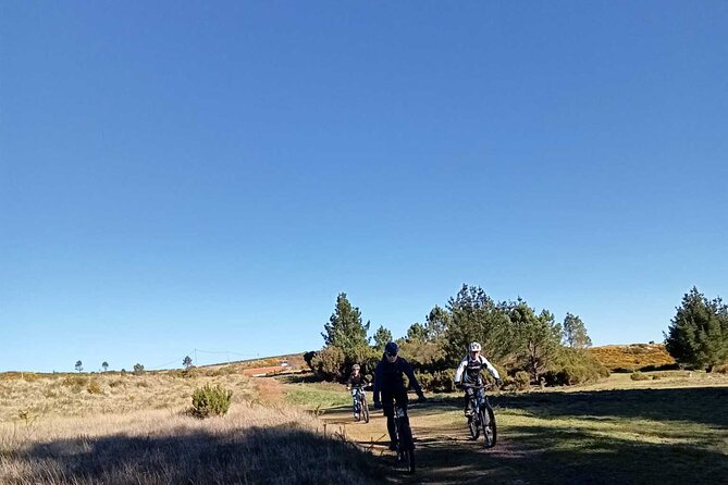 Botanical Trails of Madeira. Mountain biking Trail Experience - What you’re really paying for: $96.12 and the value of a guided loop
