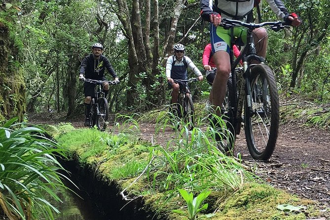 Botanical Trails of Madeira. Mountain biking Trail Experience - Entering the ride at Lokoloko (9:00 am) and Poiso’s easy start