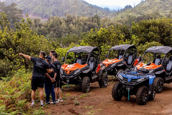 Buggy Adventure in Madeira off Road - Casa das Funduras: where forestry support enters the story
