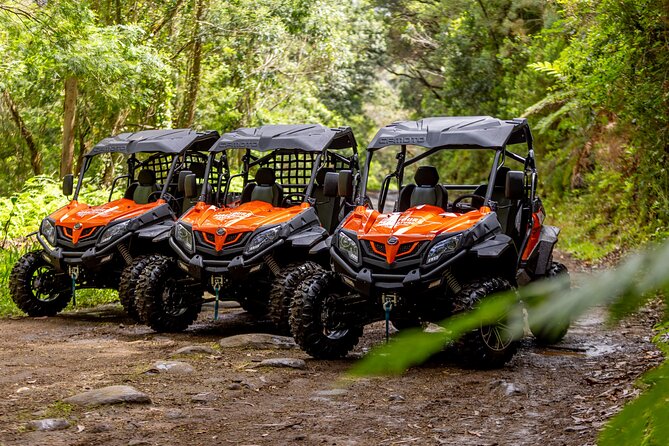 Buggy Adventure in Madeira off Road - What you get before the first muddy turn