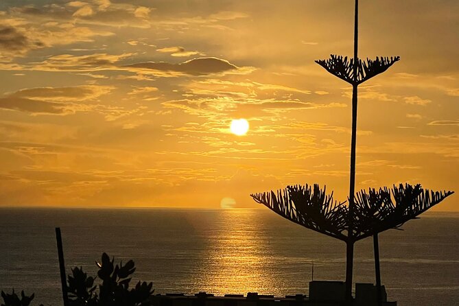 CABO GIRÃO (Half Day tour/3h) / Private Classic Car (4L). - Camara de Lobos: fishing village energy and a poncha moment