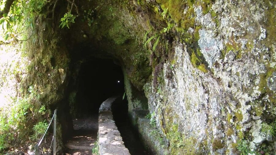 Caldeirão Verde: Levada Caldeirao Verde Hiking Transfer - Along the levada in Laurissilva Forest: shade, waterfalls, and 4 tunnels