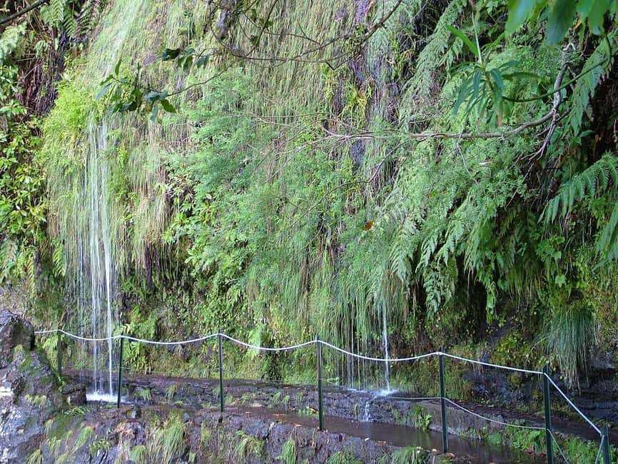 Caldeirão Verde: Levada Caldeirao Verde Hiking Transfer - The return trip is where it gets busy: timing tips for the 5-hour window