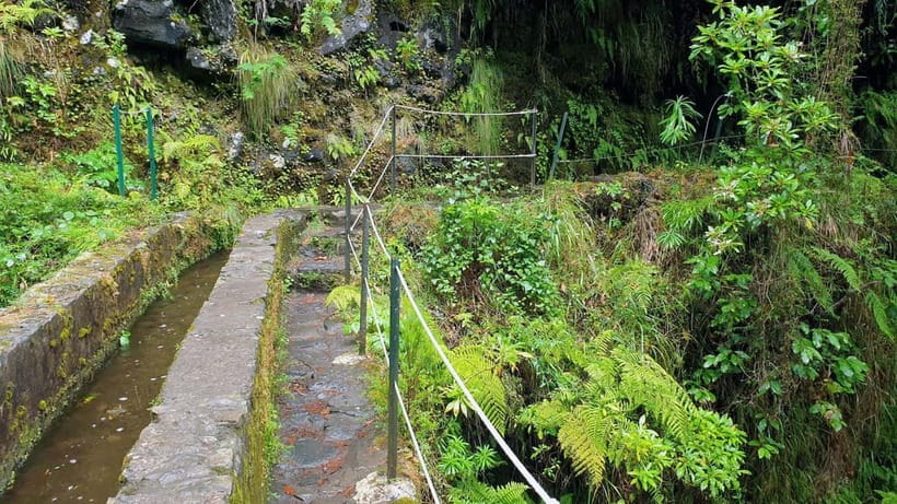 Caldeirão Verde: Levada Caldeirao Verde Hiking Transfer - What to bring for a wet, narrow-path day (and the swim option)