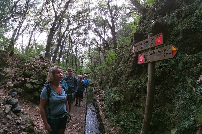 Caldeirão Verde Levada (PR 9) - Guided Madeira Levada Walk - Queimadas Forest Park at 980m: where the day becomes real