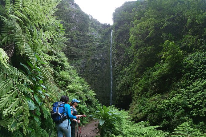 Caldeirão Verde Levada (PR 9) - Guided Madeira Levada Walk - Tunnels, narrow ledges, and the part you can’t wing