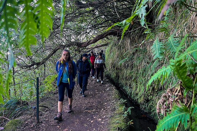 Caldeirão Verde Levada (PR 9) - Guided Madeira Levada Walk - The pace: how to get photos without losing the group