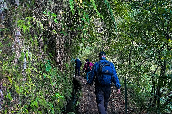 Caldeirão Verde Levada (PR 9) - Guided Madeira Levada Walk - What to bring: shoes, food, and cash for the trail fee