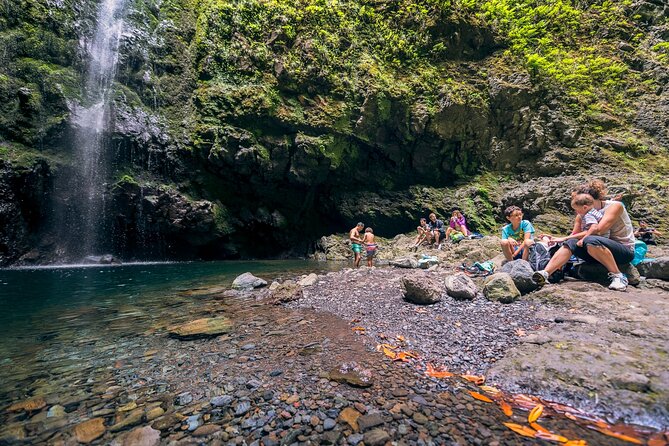 Caldeirão Verde Levadas Walk in Madeira - Walking the levada: forest sounds, caves, and the real Madeira vibe