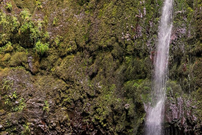 Caldeirão Verde Levadas Walk in Madeira - Caldeirão Verde itself: waterfall time and the “single-file reality”