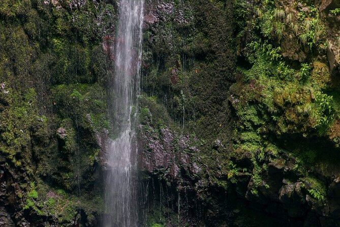 Caldeirão Verde Levadas Walk in Madeira - Guide styles: what you can expect from a local on the trail